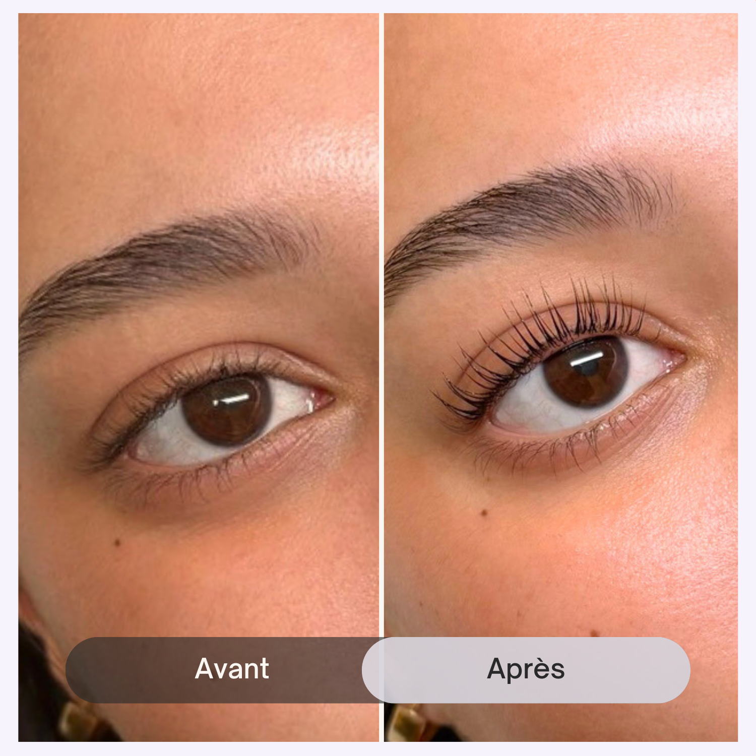 Kit découverte pro Kalentin pour rehaussement de cils